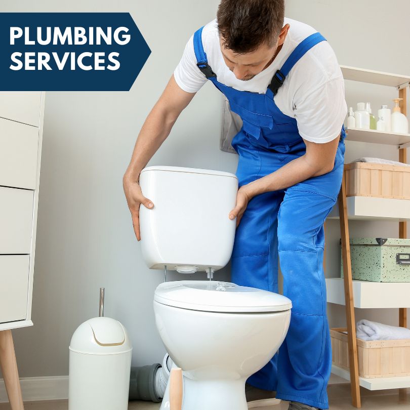 Plumbing Company in Sabula, IA